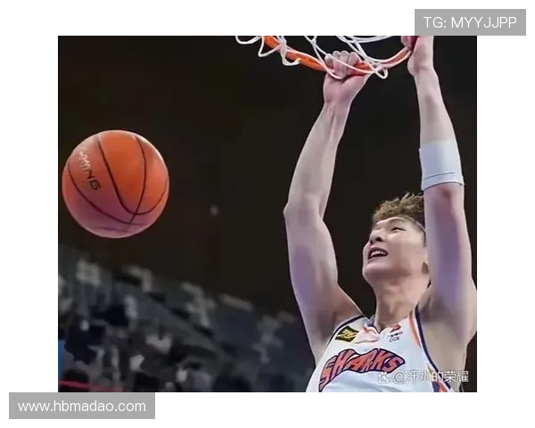 辽宁与新疆队精彩对决回放分析及赛后点评